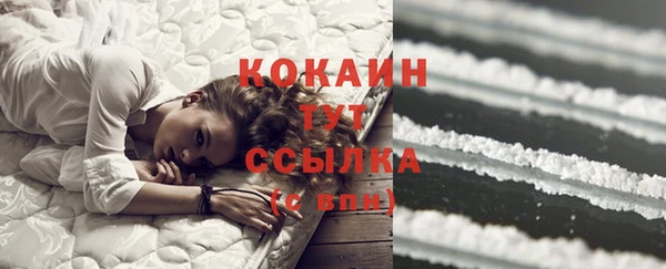 индика Армянск