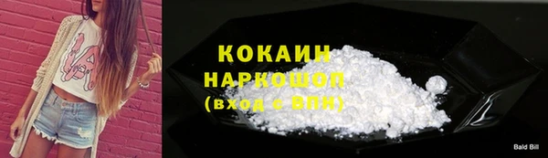 индика Армянск