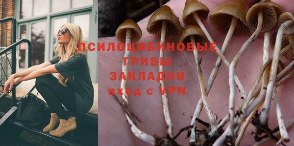 круглые Аркадак
