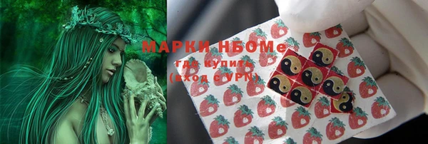 индика Армянск